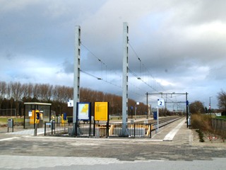 hoek van holland strand